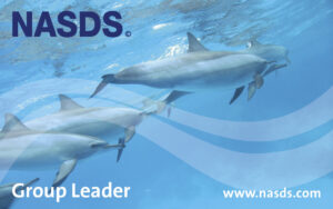 E-Learning NASDS  Group Leader (GER)