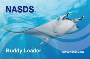 E-Learning NASDS Buddy Leader (GER)