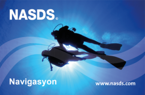 E-Learning NASDS Navigation (TR)