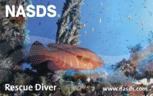 E-Learning Rescue Diver (GER)