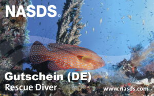 Coupon NASDS Rescue (GER)